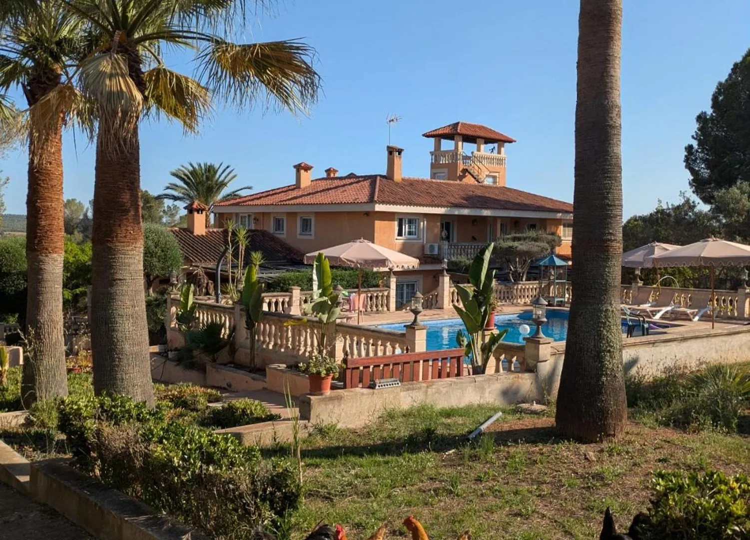 Дом отдыха Вилла Casa Alegria Портол